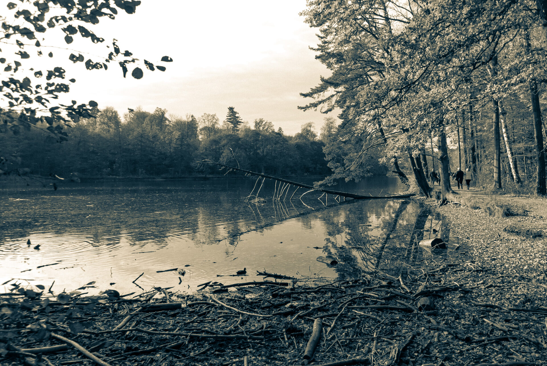 An einem Sonntag im August…